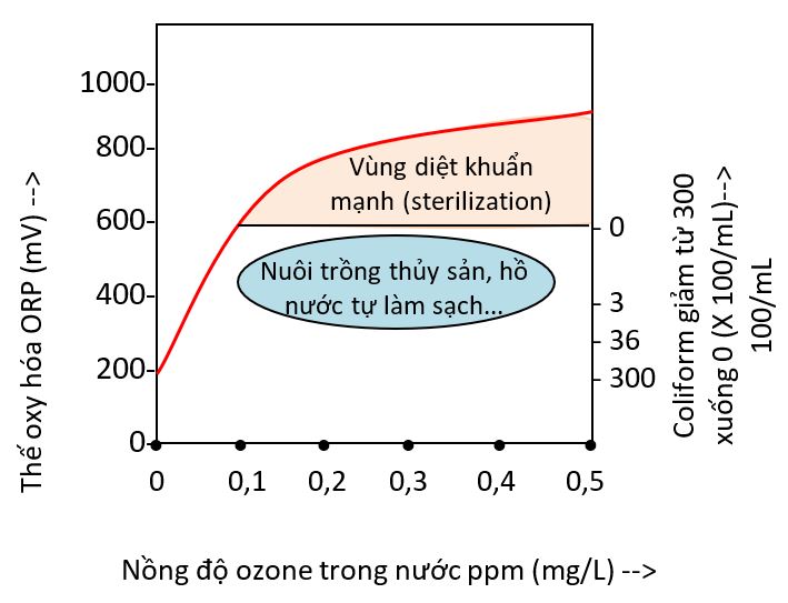 Khả năng diệt khuẩn và thế oxy hóa khử ORP (mV)  của nước