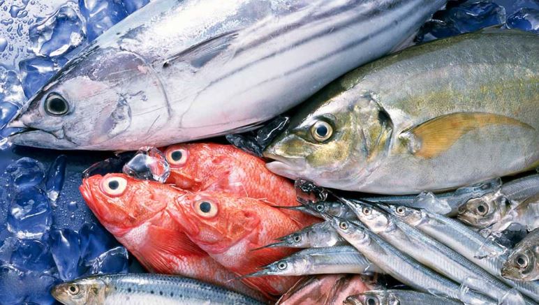Ứng Dụng Của Ozone Trong Chế Biến Và Bảo Quản Thực Phẩm: Giải Pháp Tối Ưu Cho An Toàn Và Chất Lượng