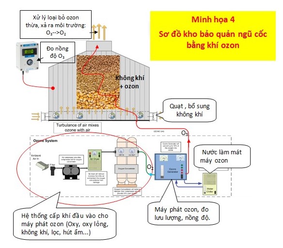 Bảo quản ngũ cốc bằng khí ozone