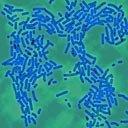 Khử trùng bằng Ozone