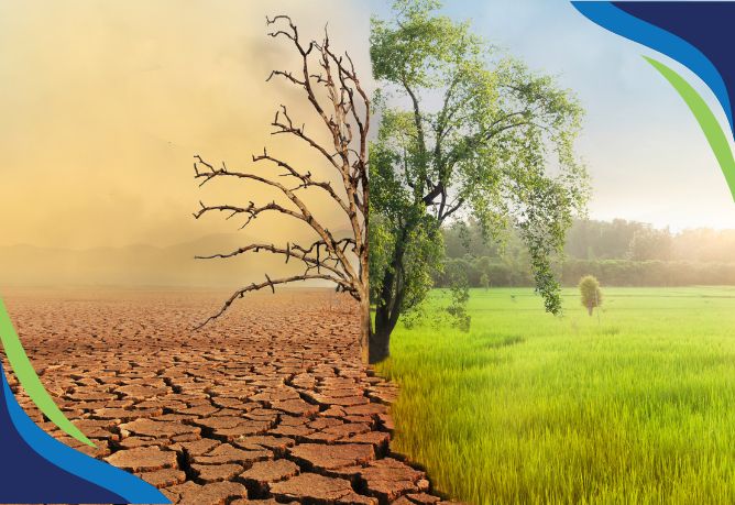 Tận dụng ozone chống biến đổi khí hậu và an toàn thực phẩm