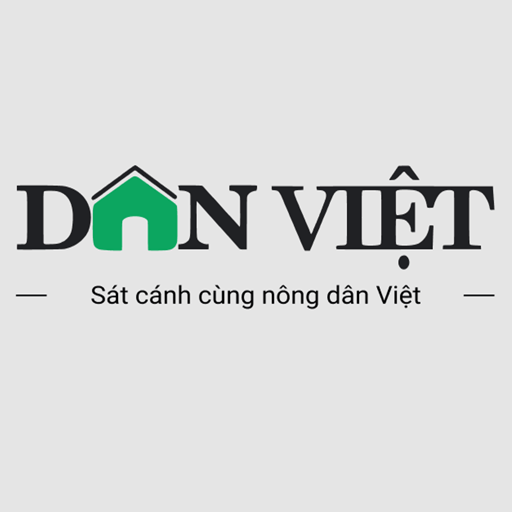 DÂN VIỆT