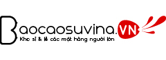 Baocaosuvina.vn