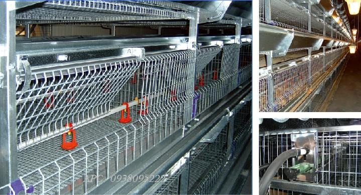 HT ĂN UỐNG TỰ ĐỘNG CHO GÀ - XINFUTAI HT ĂN UỐNG TỰ ĐỘNG CHO GÀ - XINFUTAI