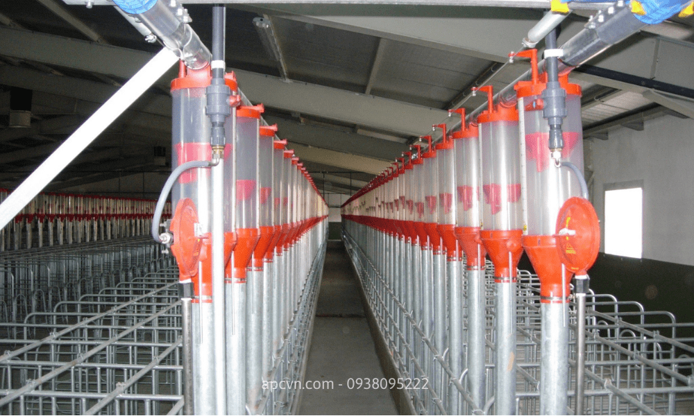 HỆ THỐNG ĂN TỰ ĐỘNG CHO LỢN CỦA ROTECNA HỆ THỐNG ĂN TỰ ĐỘNG CHO LỢN CỦA ROTECNA