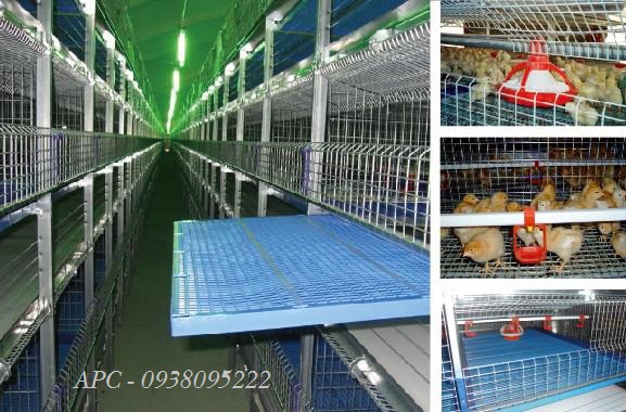 HT ĂN UỐNG TỰ ĐỘNG CHO GÀ - XINFUTAI HT ĂN UỐNG TỰ ĐỘNG CHO GÀ - XINFUTAI