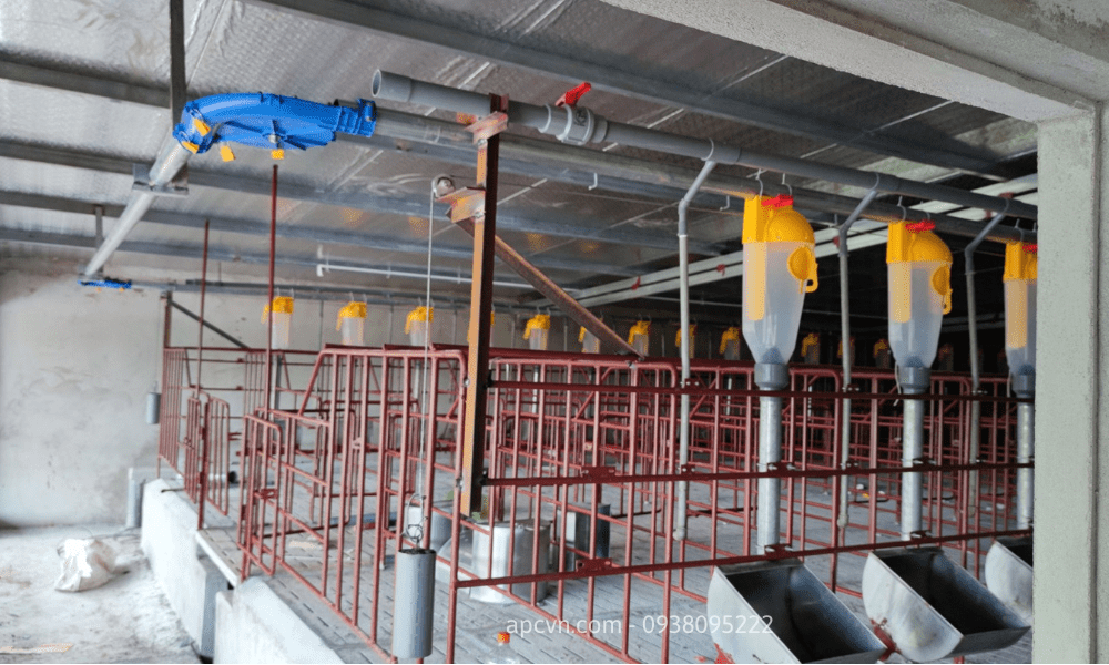 HỆ THỐNG ĂN TỰ ĐỘNG CHO LỢN CỦA ROTECNA HỆ THỐNG ĂN TỰ ĐỘNG CHO LỢN CỦA ROTECNA