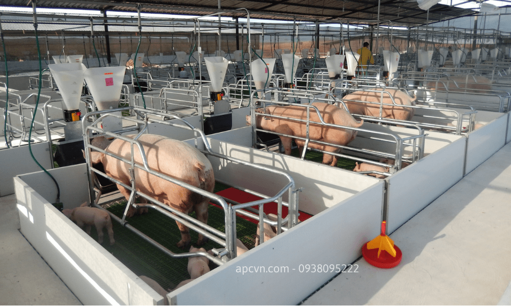 SILO VÀ ROTECNA - ĐƯỜNG TRUYỀN ĂN TỰ ĐỘNG CHO LỢN ROTECNA SILO VÀ ROTECNA - ĐƯỜNG TRUYỀN ĂN TỰ ĐỘNG CHO LỢN ROTECNA