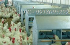 HT ĂN UỐNG TỰ ĐỘNG CHO GÀ - XINFUTAI HT ĂN UỐNG TỰ ĐỘNG CHO GÀ - XINFUTAI