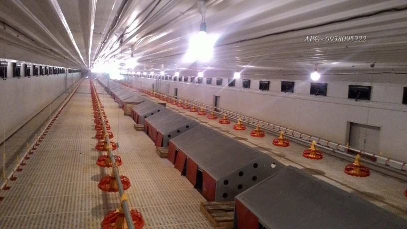 HT ĂN UỐNG TỰ ĐỘNG CHO GÀ - XINFUTAI HT ĂN UỐNG TỰ ĐỘNG CHO GÀ - XINFUTAI