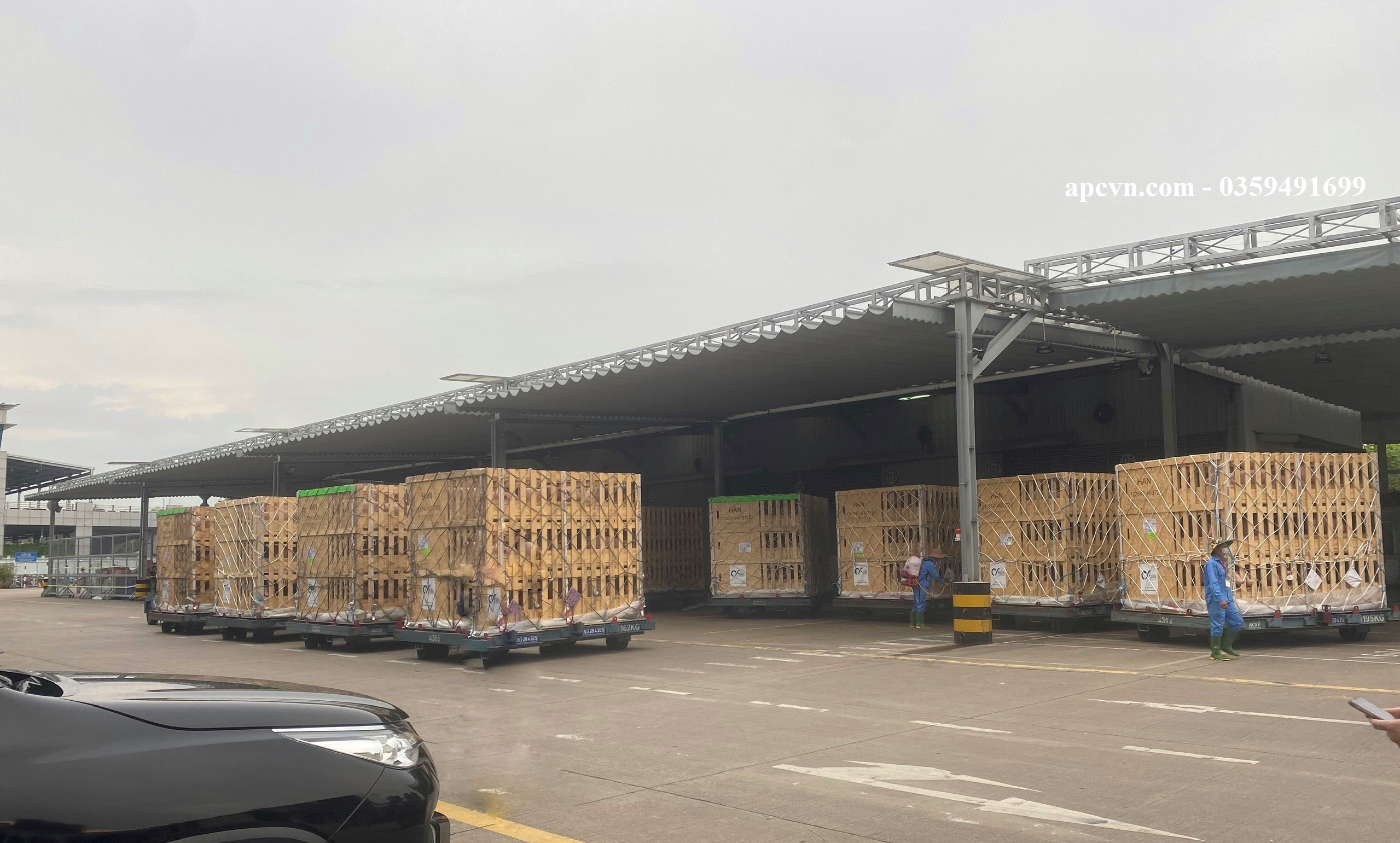 CHÀO ĐÓN CHUYÊN CƠ HEO GIỐNG CỤ KỴ VỀ SB NỘI BÀI VÀO CHIỀU TỐI NGÀY 30/07/2023 CHÀO ĐÓN CHUYÊN CƠ HEO GIỐNG CỤ KỴ VỀ SB NỘI BÀI VÀO CHIỀU TỐI NGÀY 30/07/2023