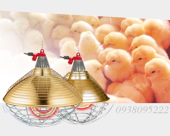 ĐÈN SƯỞI HỒNG NGOẠI, ĐÈN SƯỞI SỢI CACBON - INTERHEAT ĐÈN SƯỞI HỒNG NGOẠI, ĐÈN SƯỞI SỢI CACBON - INTERHEAT