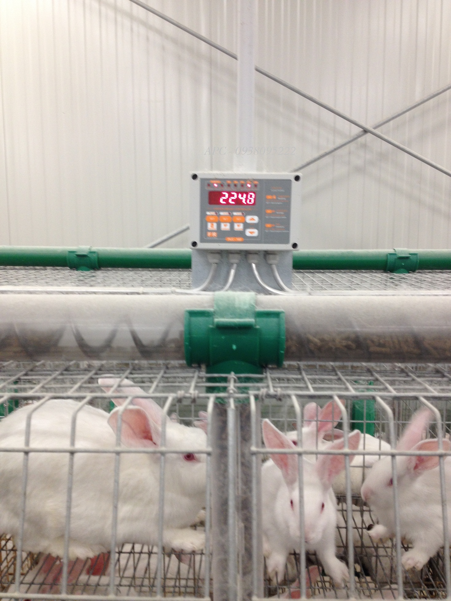 CHUỒNG LỒNG THỎ CHUỒNG LỒNG THỎ