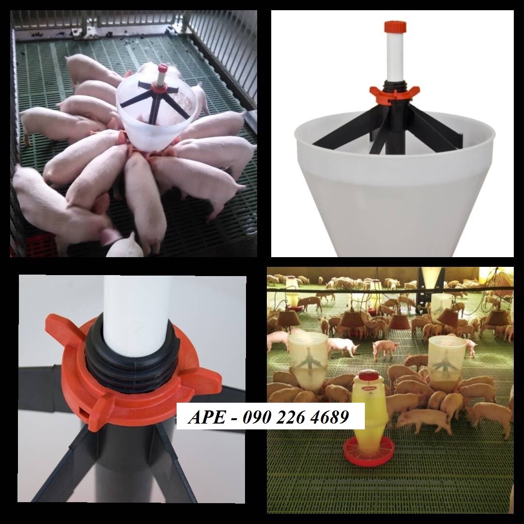 MÁNG ĂN CHO LỢN CAI SỮA MAXI HOPPER PAN MÁNG ĂN CHO LỢN CAI SỮA MAXI HOPPER PAN