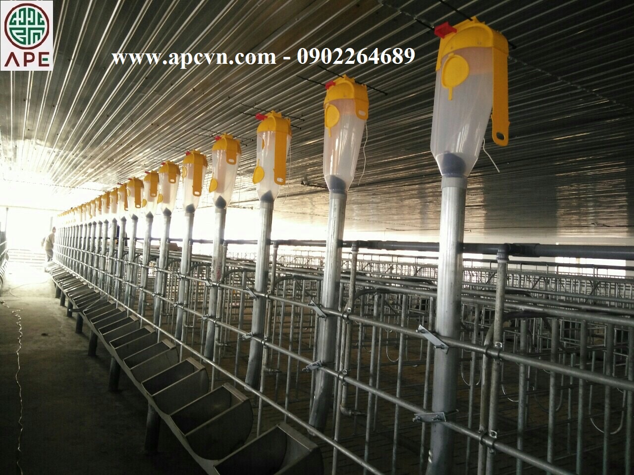 HỆ THỐNG ĂN TỰ ĐỘNG CÓ ĐỊNH LƯỢNG CHO HEO CỦA ROTECNA HỆ THỐNG ĂN TỰ ĐỘNG CÓ ĐỊNH LƯỢNG CHO HEO CỦA ROTECNA