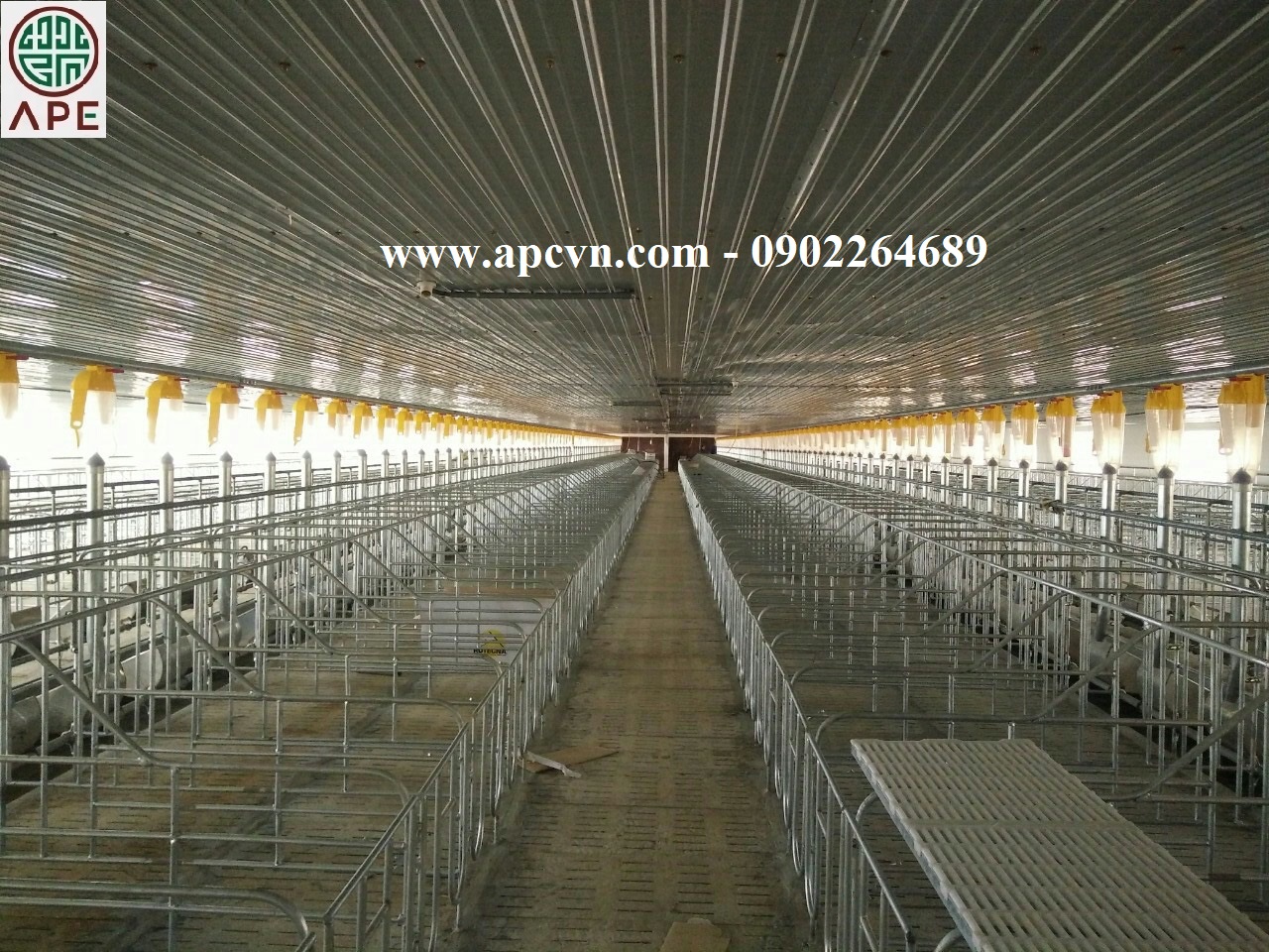 HỆ THỐNG ĂN TỰ ĐỘNG CHO LỢN CỦA ROTECNA HỆ THỐNG ĂN TỰ ĐỘNG CHO LỢN CỦA ROTECNA