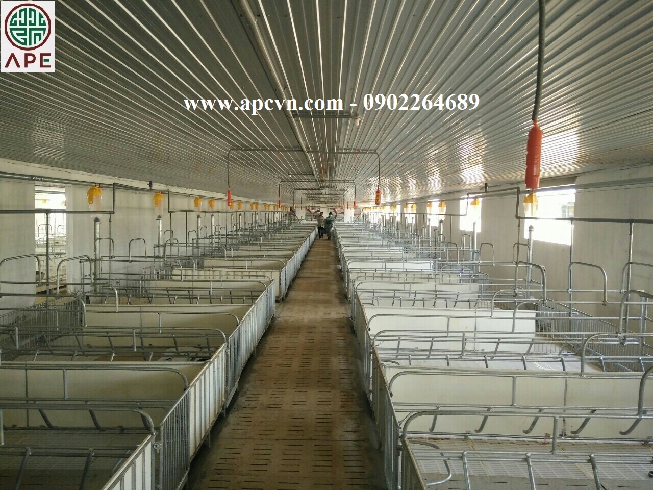 HỆ THỐNG ĂN TỰ ĐỘNG CÓ ĐỊNH LƯỢNG CHO HEO CỦA ROTECNA HỆ THỐNG ĂN TỰ ĐỘNG CÓ ĐỊNH LƯỢNG CHO HEO CỦA ROTECNA