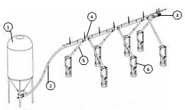 HỆ THỐNG ĂN TỰ ĐỘNG DẠNG ĂN TỰ DO CỦA ROTECNA HỆ THỐNG ĂN TỰ ĐỘNG DẠNG ĂN TỰ DO CỦA ROTECNA