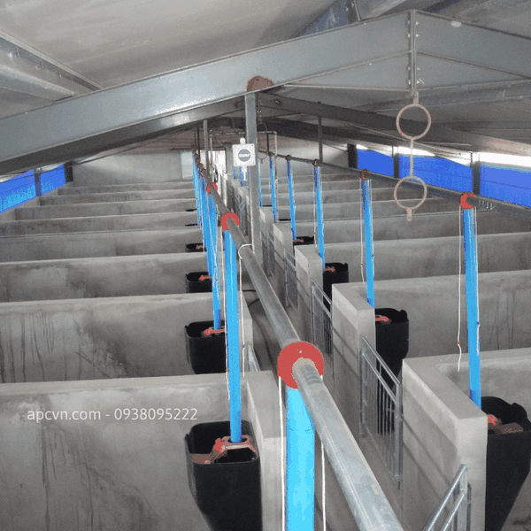 HỆ THỐNG ĂN TỰ ĐỘNG CHO LỢN CỦA ROTECNA HỆ THỐNG ĂN TỰ ĐỘNG CHO LỢN CỦA ROTECNA