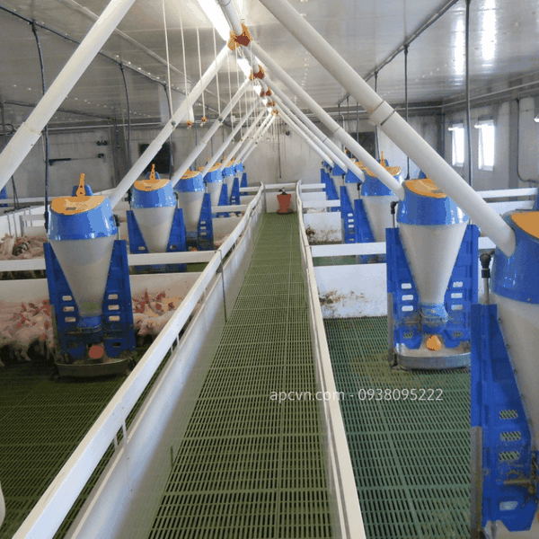 HỆ THỐNG ĂN TỰ ĐỘNG CHO LỢN CỦA ROTECNA HỆ THỐNG ĂN TỰ ĐỘNG CHO LỢN CỦA ROTECNA
