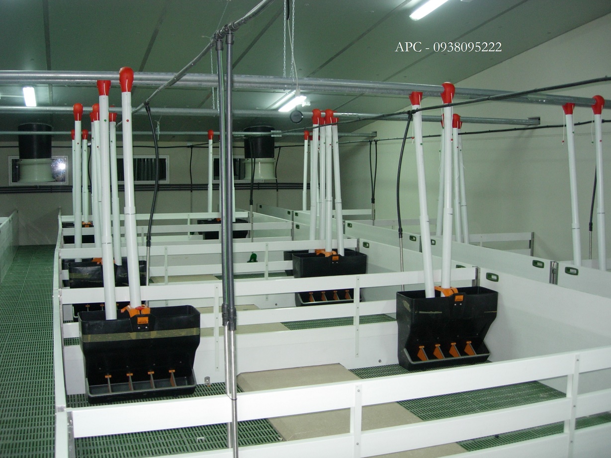 HỆ THỐNG ĂN TỰ ĐỘNG DẠNG ĂN TỰ DO CỦA ROTECNA HỆ THỐNG ĂN TỰ ĐỘNG DẠNG ĂN TỰ DO CỦA ROTECNA