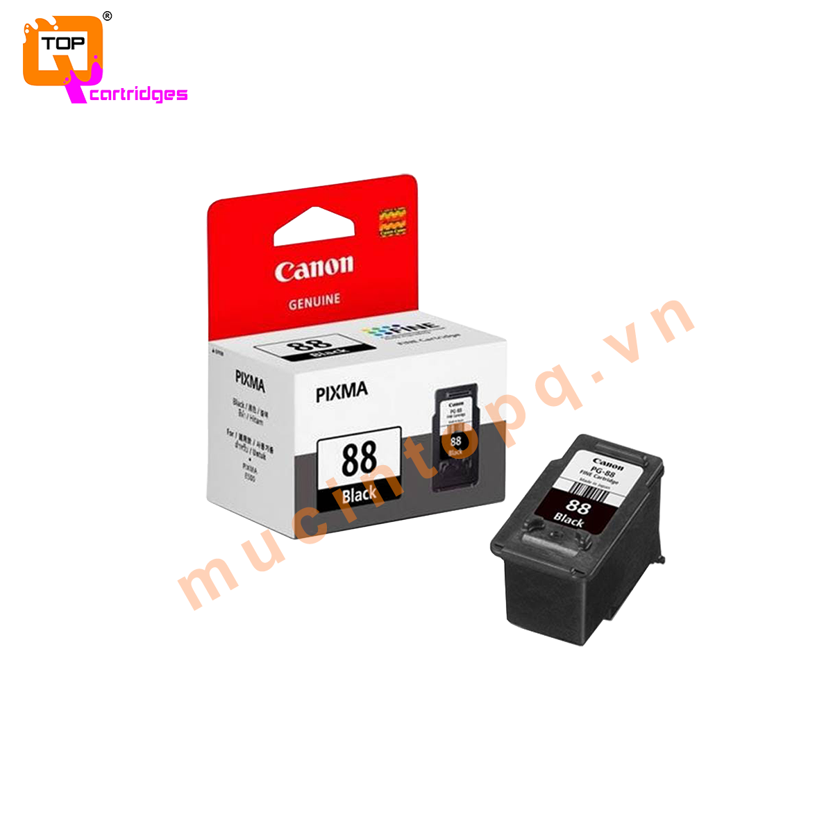 Khám Phá PG88 – Nền Tảng Giải Trí Hàng Đầu Việt Nam