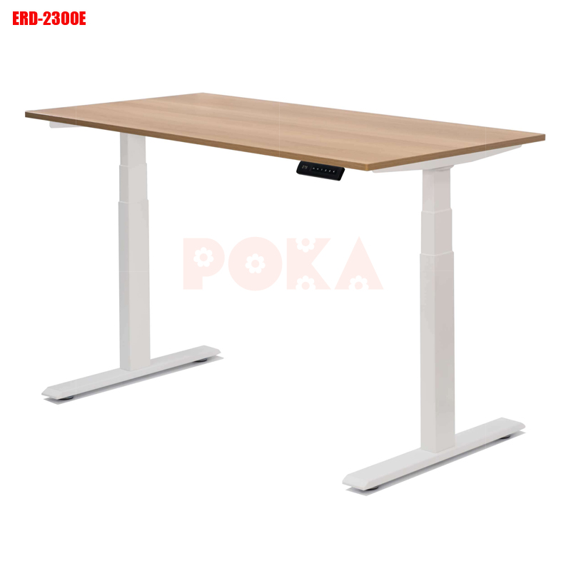 Bàn nâng hạ bằng điện ERD-2300E 2 motor