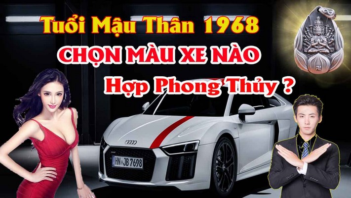 Nam nữ tuổi Đinh Mão sinh năm 1987 hợp với xe màu gì  anycarvn