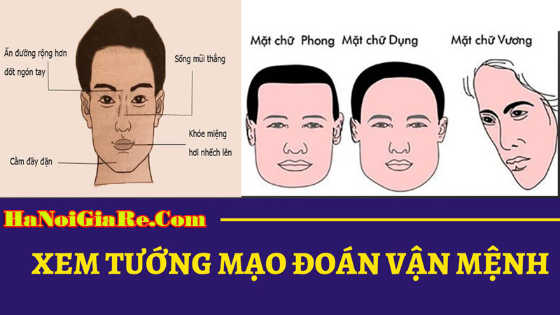 Top mẫu bàn cờ tướng hình người được yêu thích