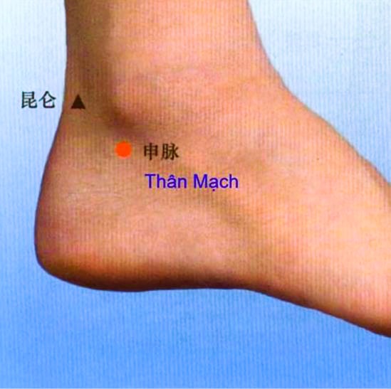 huyet-than-mach-chia-khoa-danh-thuc-bo-nao-tri-mat-ngu-va-hung-phan-qua-do