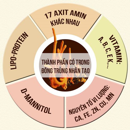 quy-trinh-nuoi-trong-dong-trung-ha-thao-tai-viet-y-duong