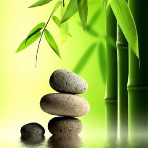 hoc-thuyet-am-duong-va-nhung-ung-dung-chung-minh-trong-y-hoc-hien-dai