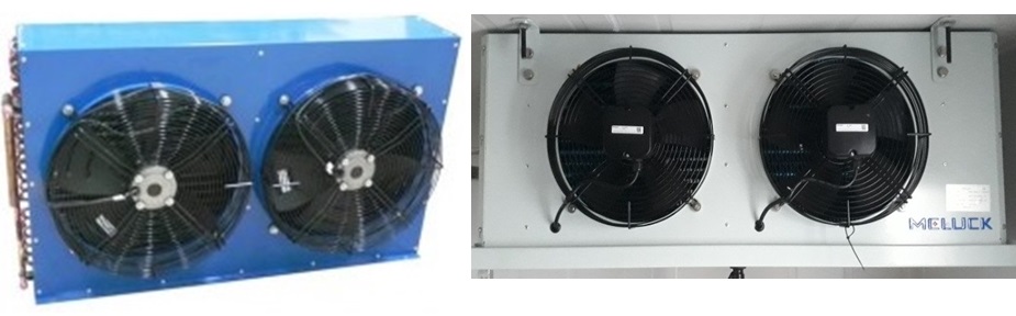 kho đông lạnh bảo quản