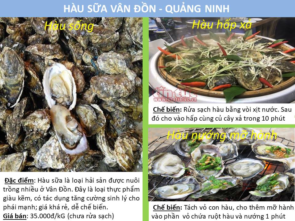 Thông tin các món ăn chế biến từ hàu sữa Vân Đồn - Quảng Ninh