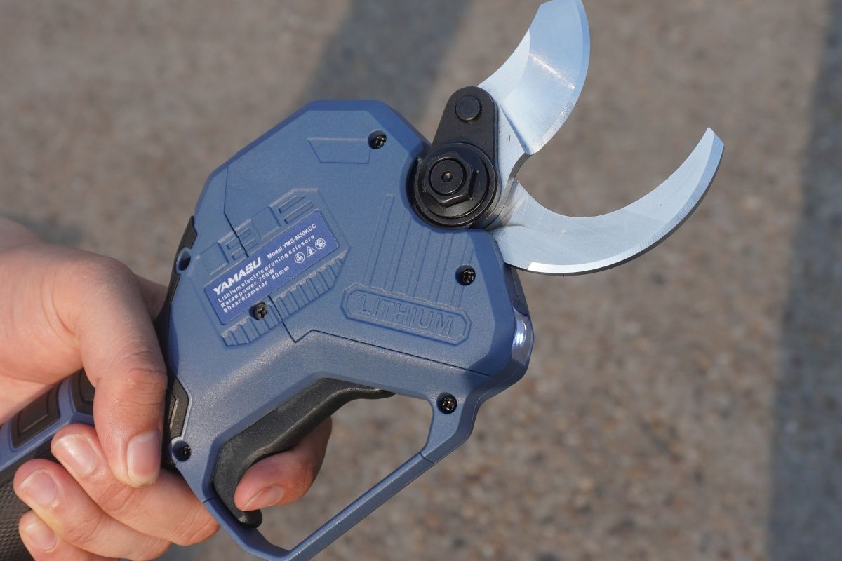 Không cắt cành quá to so với khả năng kéo