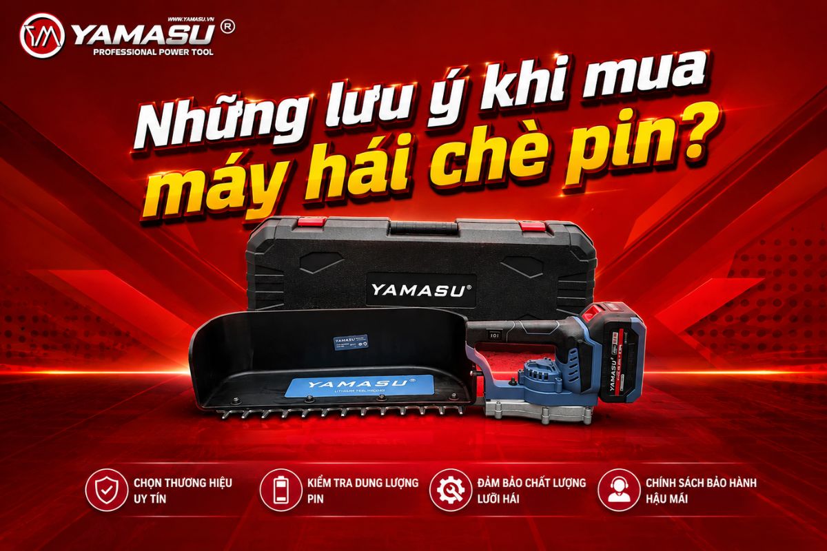 Lưu ý khi mua máy hái chè pin?