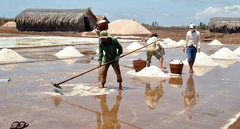 Cánh đồng muối Bạc Liêu – Vẻ đẹp lao động giữa biển trời miền Tây