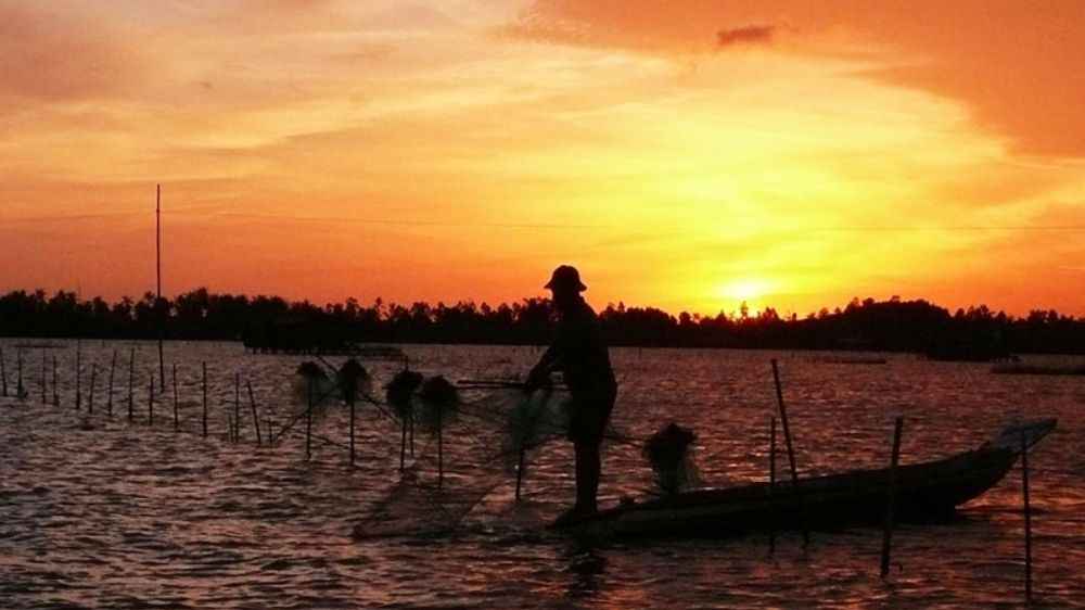 Đầm Thị Tường - Vẻ đẹp sông nước miền Tây giữa lòng Cà Mau