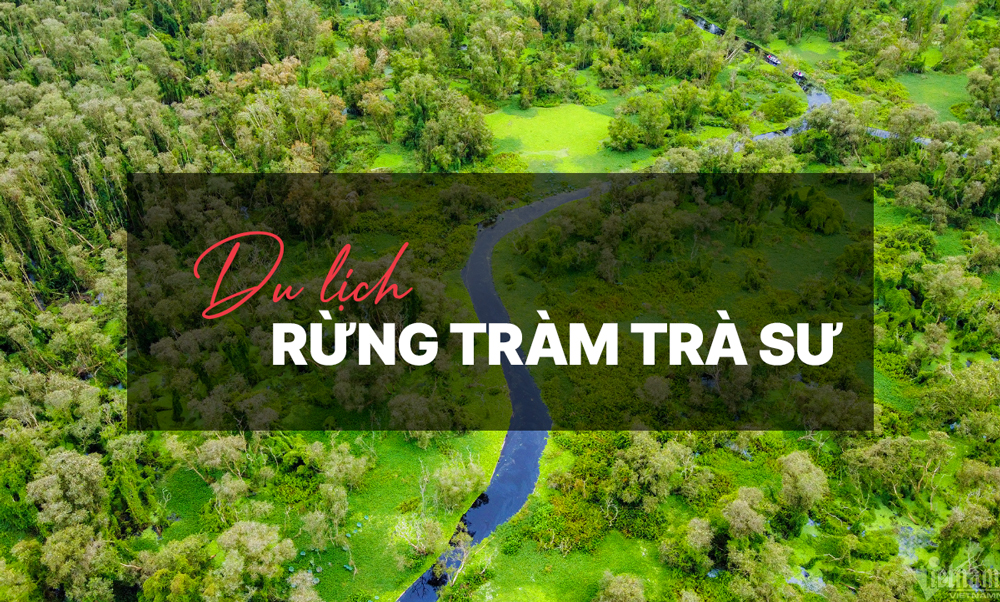 KINH NGHIỆM DU LỊCH RỪNG TRÀM TRÀ SƯ AN GIANG CHI TIẾT TỪ A–Z 2025