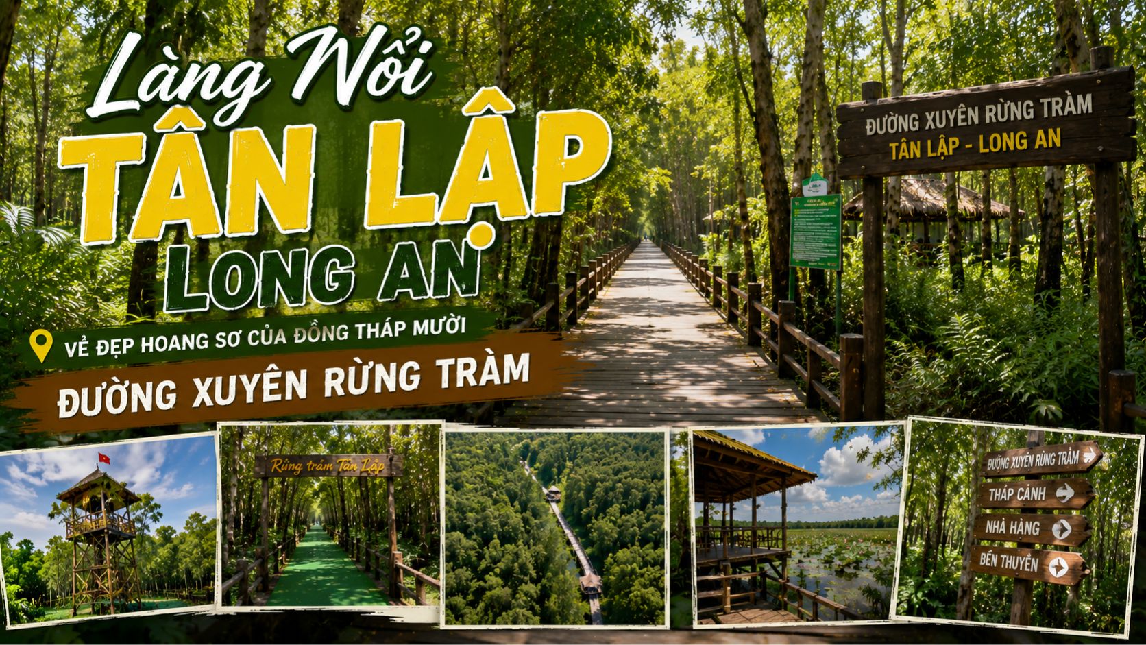 Làng Nổi Tân Lập Long An: Đường Xuyên Rừng Tràm