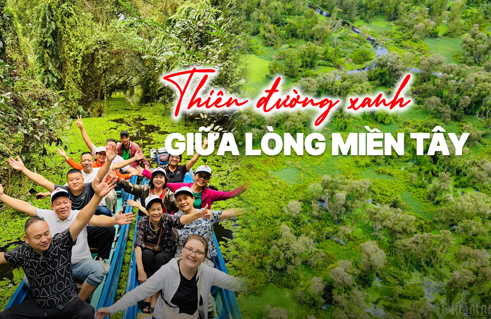 Rừng Tràm Trà Sư - 