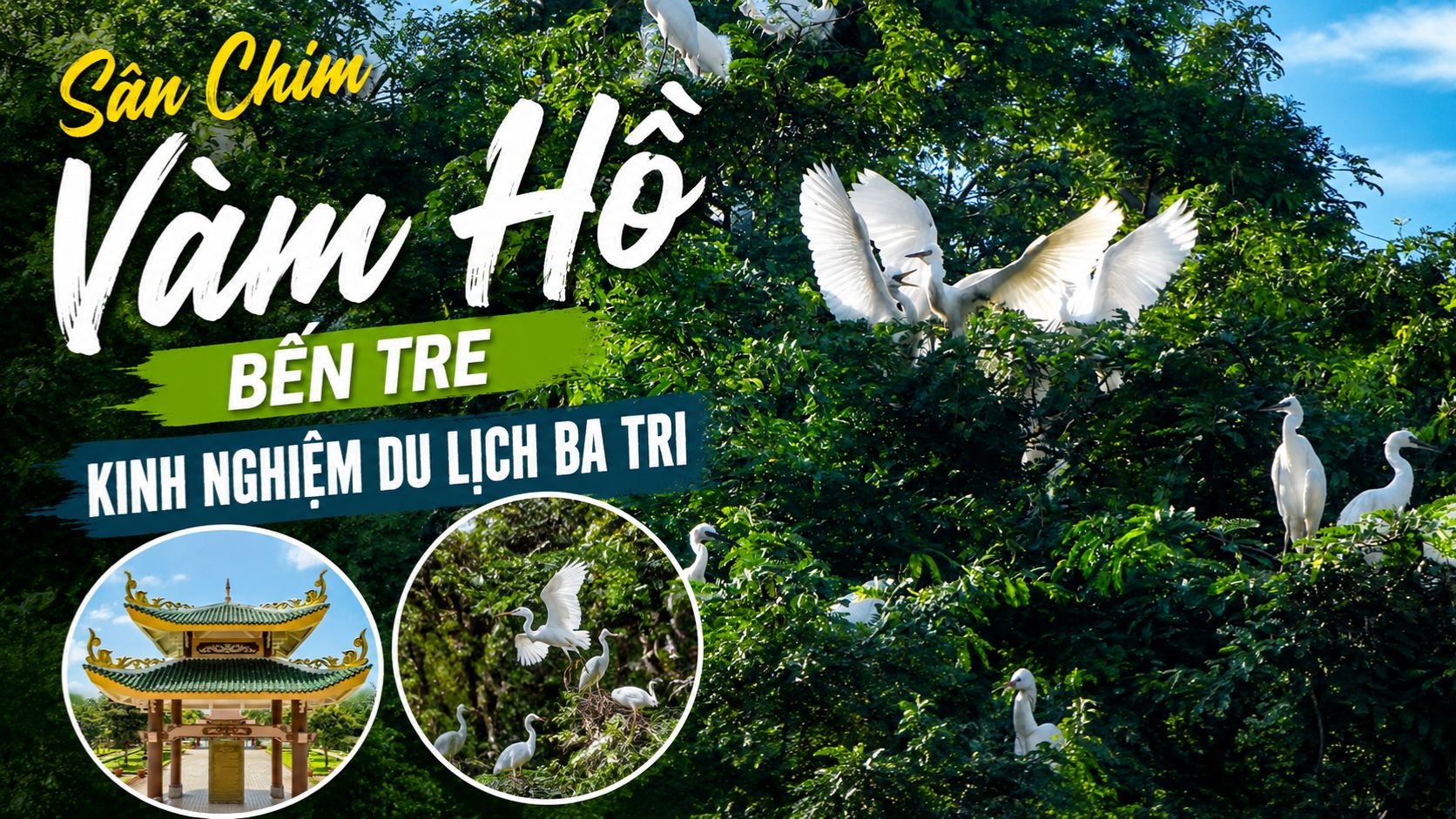 Sân Chim Vàm Hồ Bến Tre: Kinh Nghiệm Du Lịch Ba Tri