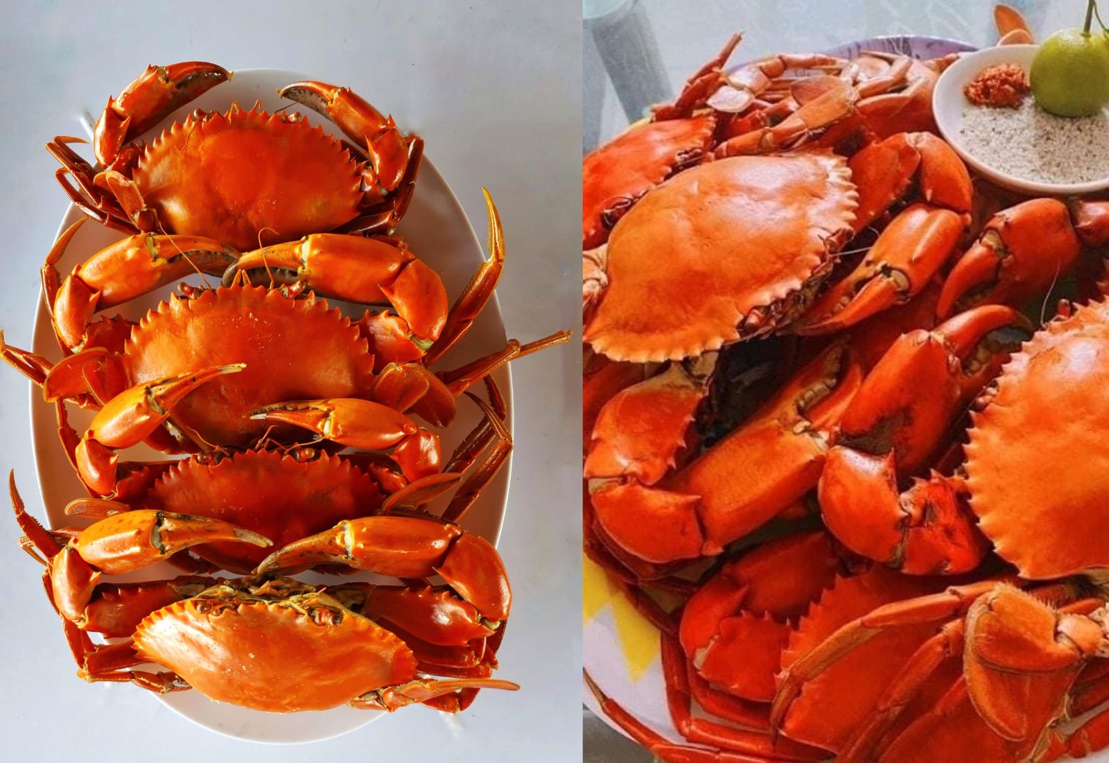 DANH SÁCH ĐẶC SẢN CÀ MAU MUA VỀ LÀM QUÀ BẠN CẦN LƯU LẠI NGAY