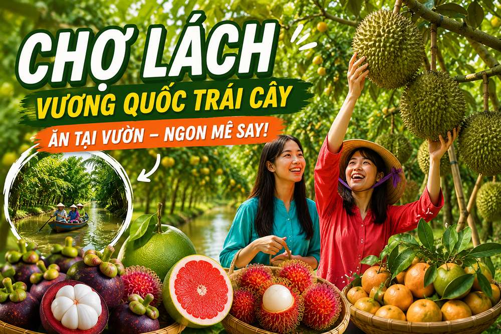 Vườn Trái Cây Chợ Lách Bến Tre: Đi Mùa T5-T9 Đẹp Nhất