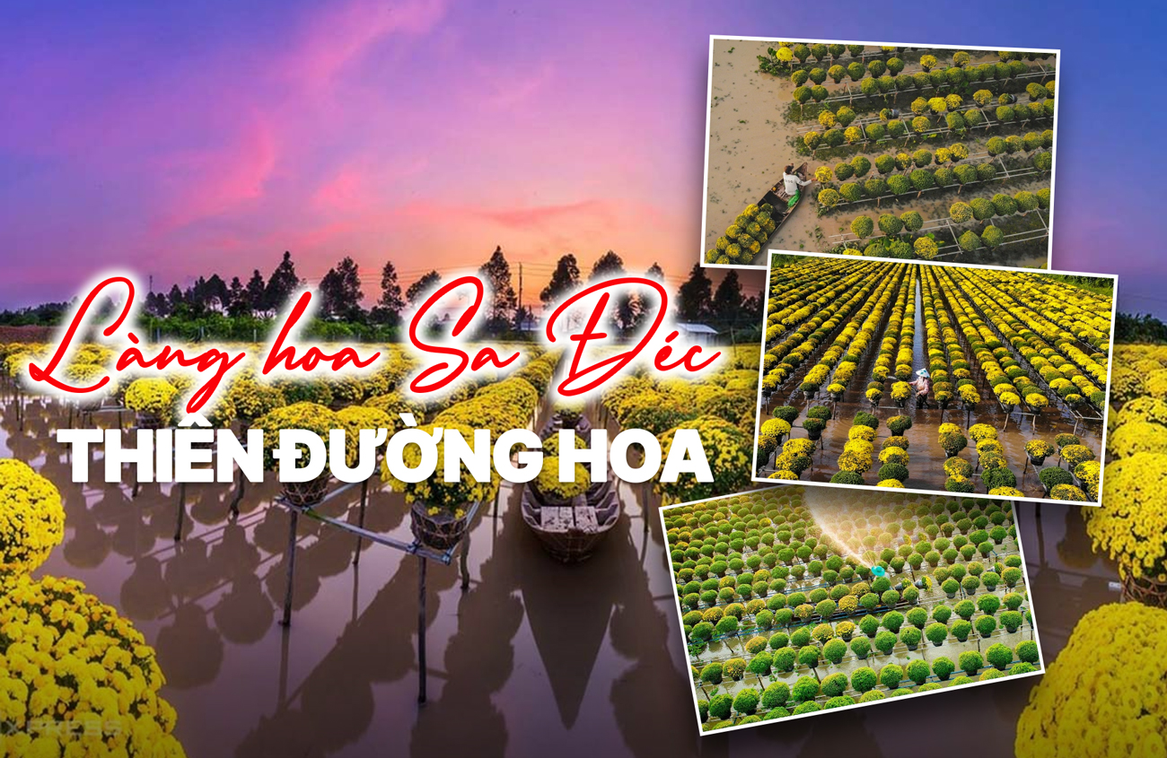 Làng Hoa Sa Đéc - Thiên Đường Hoa Rực Rỡ Nhất Miền Tây