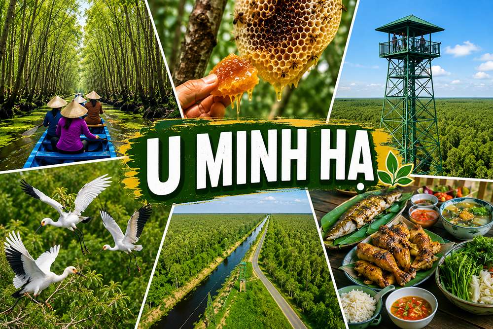 VQG U Minh Hạ Cà Mau: Top 5 Trải Nghiệm Mật Ong Rừng