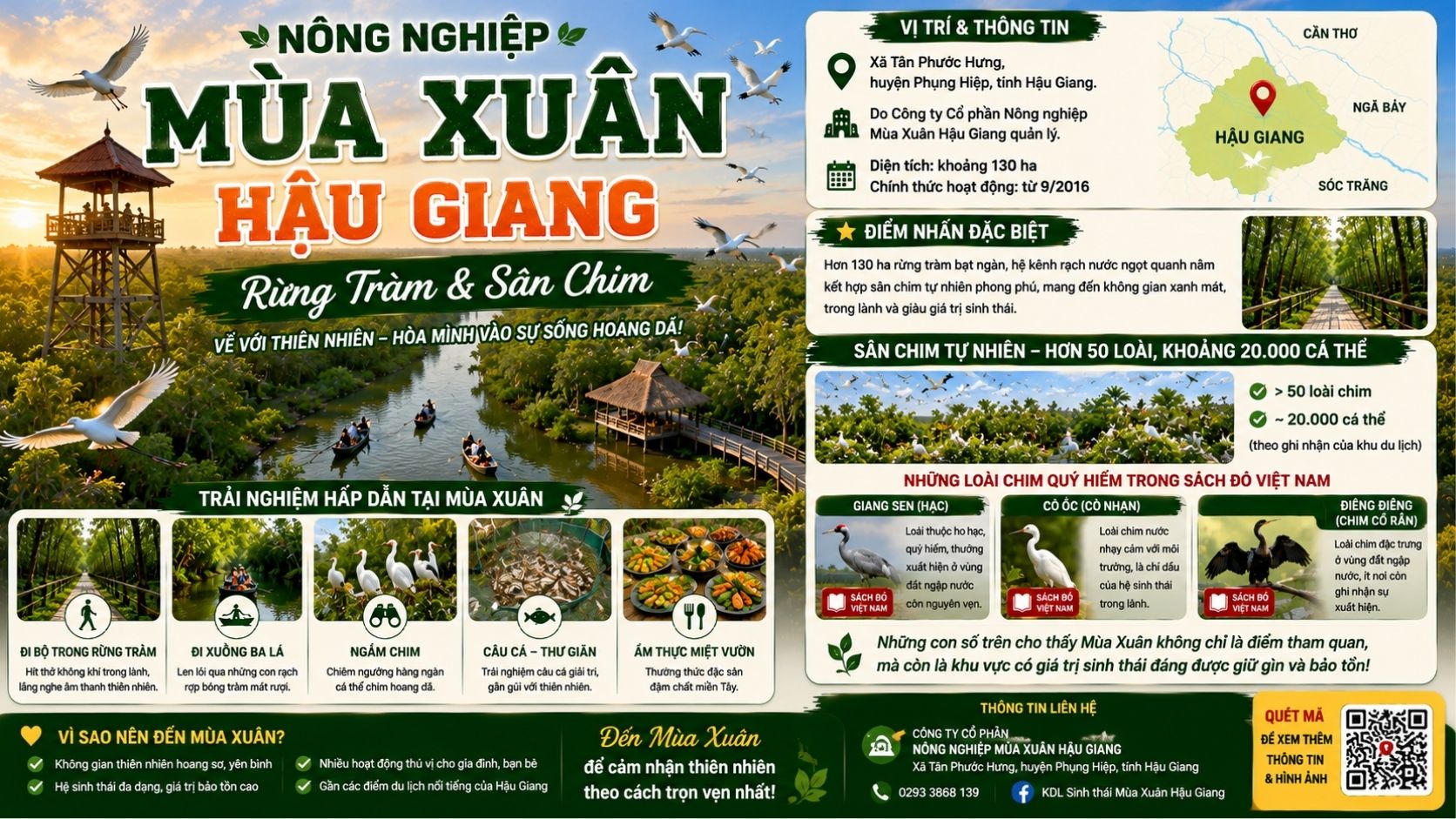 Nông Nghiệp Mùa Xuân Hậu Giang: Rừng Tràm & Sân Chim