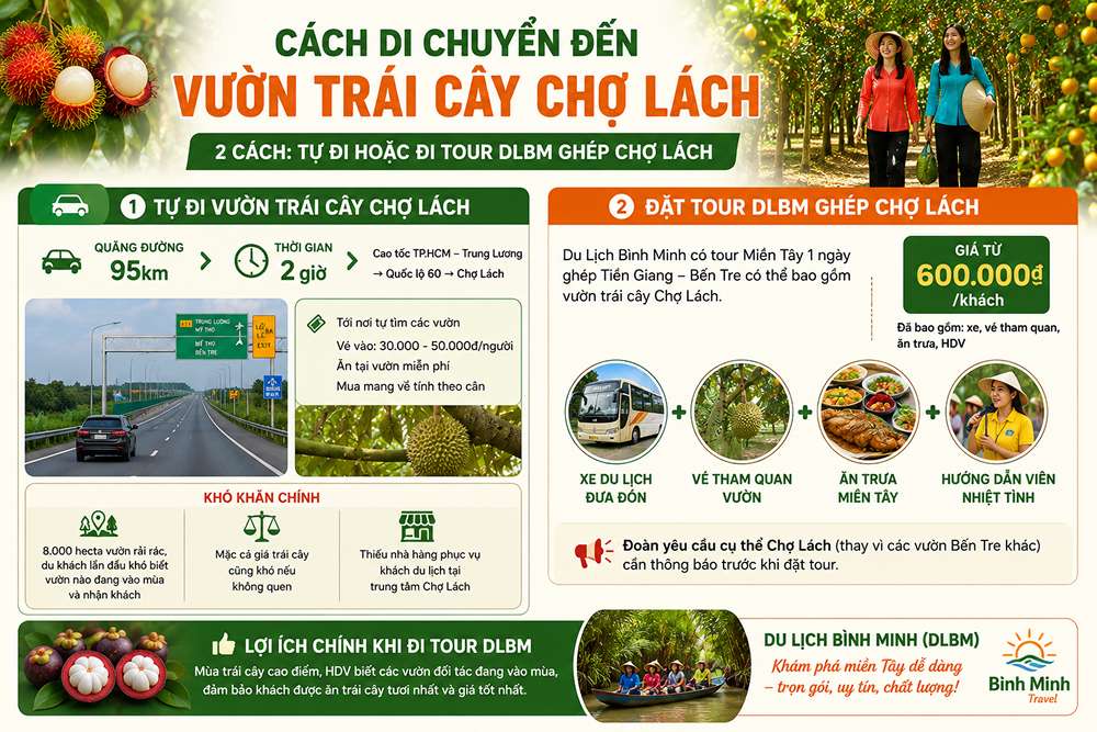 Cách di chuyển đến vườn trái cây Chợ Lách