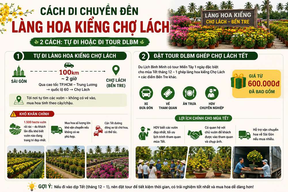 Cách di chuyển đến làng hoa kiểng Chợ Lách