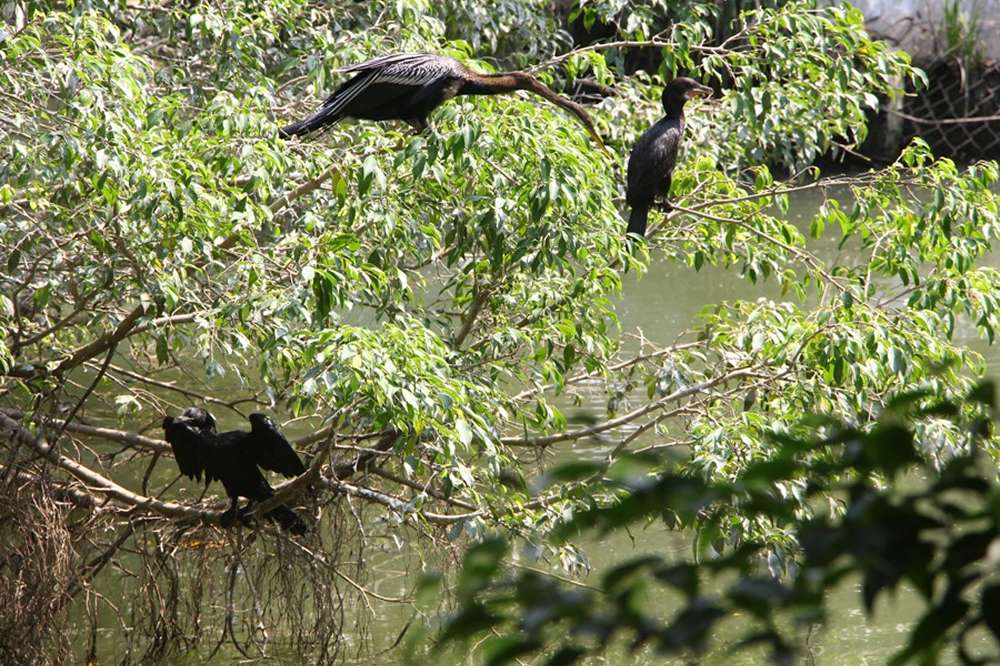 Thời điểm lý tưởng để tham quan khu du lịch Vinh Sang